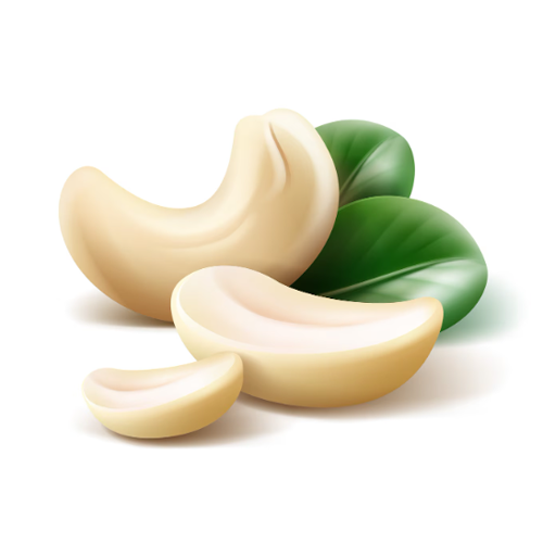 Cashew